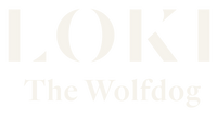 Loki The Wolfdog
