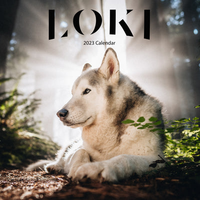 2023 Loki Calendar