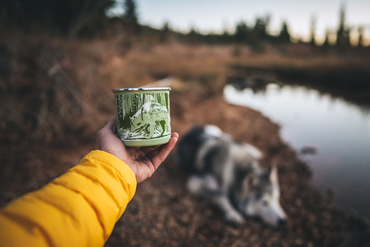 Redwoods Enamel Mug